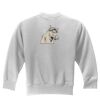 Youth Sweat Shirt Thumbnail