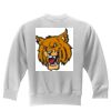 Youth Sweat Shirt Thumbnail