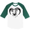 Mens Colorblock Raglan Jersey Thumbnail