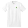 Men's Cotton T Shirt Thumbnail